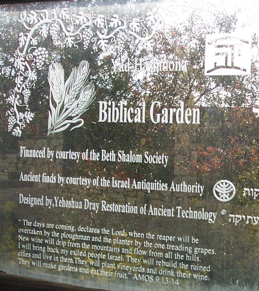 Click to open image!