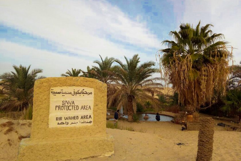 Click to open image!