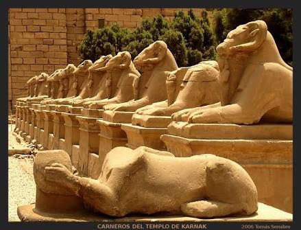 Click to open image!